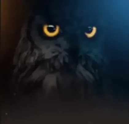 Capa do pack Birds Of Prey