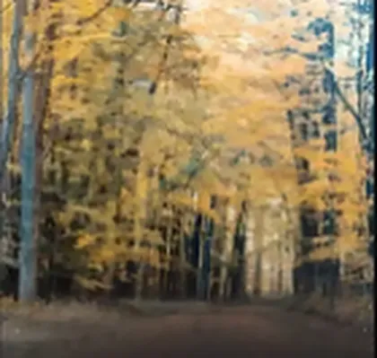 Capa do pack Deciduous Forests