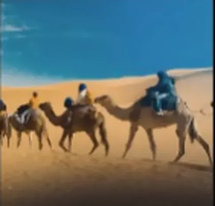Capa do pack Desert