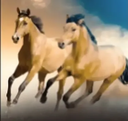 Capa do pack Horses